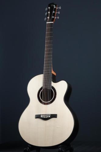 Peggy White PREMIER Cutaway