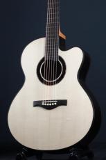 Peggy White PREMIER Cutaway_2