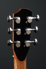 Peggy White PREMIER Cutaway_6