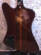Gibson Firebird Ⅴ '64_4
