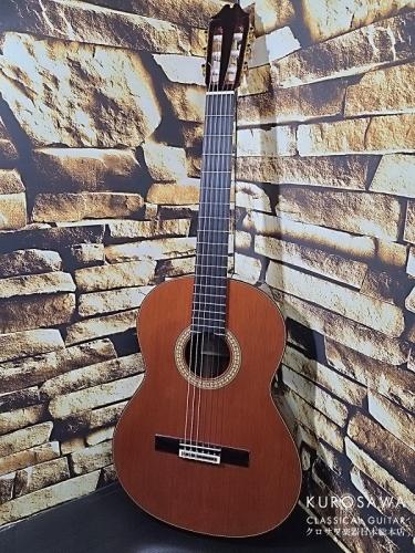 Juan Hernandez [ホアン・エルナンデス] ホアン・エルナンデス 2025年製 Profesor 640 C 杉・ローズ【期間限定小物5点サービス】【日本総本店2F 在庫品】