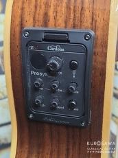 Cordoba コルドバ GK Studio Negra GK スタジオ ネグラ 【日本総本店2F 在庫品】_10