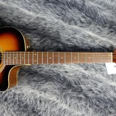 Fender Newporter Player Sunburst_5