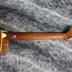 Fender Newporter Player Sunburst_6