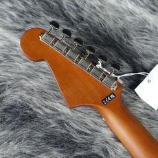 Fender Newporter Player Sunburst_8