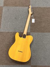 Fender Standard Telecaster, Maple Fingerboard, Black Pickguard, Butterscotch Blonde_3