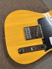 Fender Standard Telecaster, Maple Fingerboard, Black Pickguard, Butterscotch Blonde_5