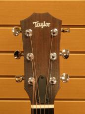Taylor 14ce_9