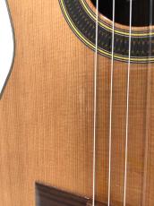 ARANJUEZ [アランフェス] 710【Cedar】_10