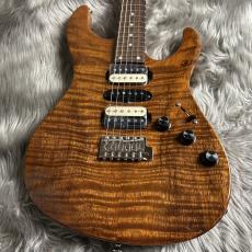 FREEDOM CUSTOM GUITAR RESEARCH EZa 24F FT HSH -晩秋【現物画像】