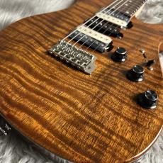 FREEDOM CUSTOM GUITAR RESEARCH EZa 24F FT HSH -晩秋【現物画像】_3