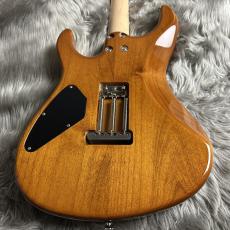 FREEDOM CUSTOM GUITAR RESEARCH EZa 24F FT HSH -晩秋【現物画像】_5