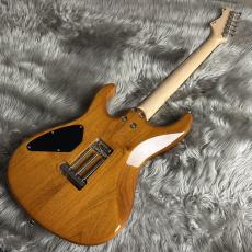 FREEDOM CUSTOM GUITAR RESEARCH EZa 24F FT HSH -晩秋【現物画像】_6