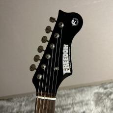 FREEDOM CUSTOM GUITAR RESEARCH EZa 24F FT HSH -晩秋【現物画像】_7