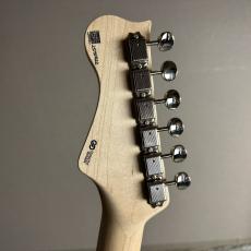 FREEDOM CUSTOM GUITAR RESEARCH EZa 24F FT HSH -晩秋【現物画像】_8