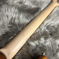 FREEDOM CUSTOM GUITAR RESEARCH EZa 24F FT HSH -晩秋【現物画像】_10