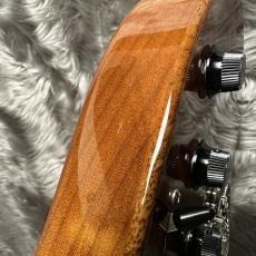 FREEDOM CUSTOM GUITAR RESEARCH EZa 24F FT HSH -晩秋【現物画像】_11