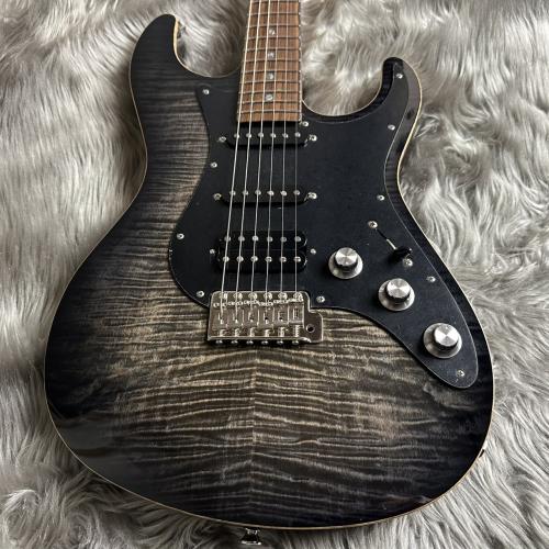 FREEDOM CUSTOM GUITAR RESEARCH EZa 22F FT SSH -WNP(ホワイトナイツ)【現物画像】