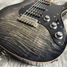 FREEDOM CUSTOM GUITAR RESEARCH EZa 22F FT SSH -WNP(ホワイトナイツ)【現物画像】_3