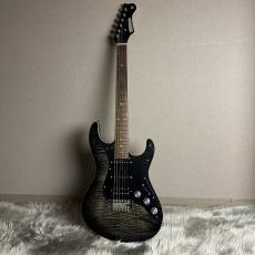 FREEDOM CUSTOM GUITAR RESEARCH EZa 22F FT SSH -WNP(ホワイトナイツ)【現物画像】_5