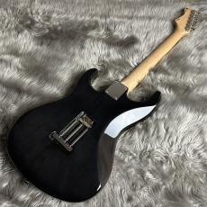 FREEDOM CUSTOM GUITAR RESEARCH EZa 22F FT SSH -WNP(ホワイトナイツ)【現物画像】_7