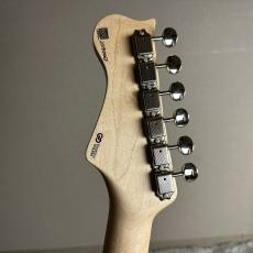 FREEDOM CUSTOM GUITAR RESEARCH EZa 22F FT SSH -WNP(ホワイトナイツ)【現物画像】_9