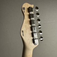 FREEDOM CUSTOM GUITAR RESEARCH Retro Series TE-TL HollowⅡ - 2Tone Sunburst【現物画像】_9