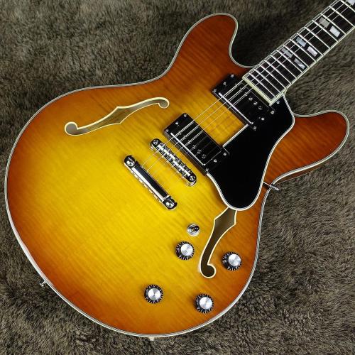 Eastman T486 Goldburst