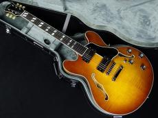 Eastman T486 Goldburst_2