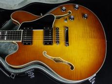 Eastman T486 Goldburst_3