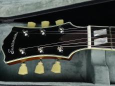 Eastman T486 Goldburst_5