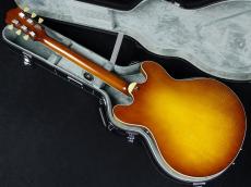 Eastman T486 Goldburst_6