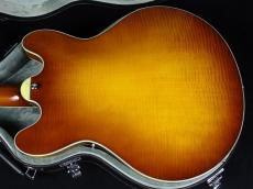 Eastman T486 Goldburst_7