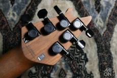 EVH Wolfgang WG Standard Silver Sparkle 2021_7