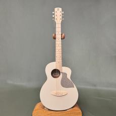 aNueNue Bird MC10 _2