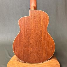 aNueNue Bird MC10 _5