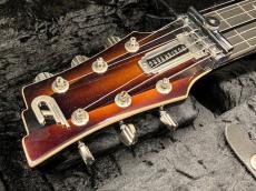 Duesenberg "Fairytale" DLS-FT-GB Lapsteel_2
