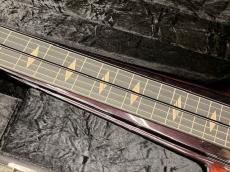 Duesenberg "Fairytale" DLS-FT-GB Lapsteel_3