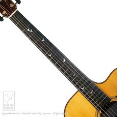 Greven The Oshio D Cutaway w/M-factory Model #202 Full Set_5