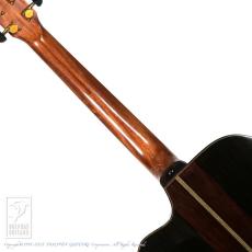 Greven The Oshio D Cutaway w/M-factory Model #202 Full Set_6