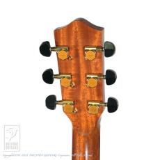 Greven The Oshio D Cutaway w/M-factory Model #202 Full Set_8