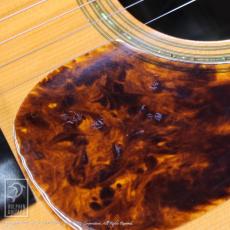 Greven The Oshio D Cutaway w/M-factory Model #202 Full Set_13