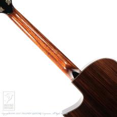 Naga Guitars Kotaro Oshio Signature "Wings" Series - Cutaway_6