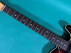 SHECTER PS-PT-TH-MH-N/3TS/R _7