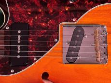 SHECTER PS-PT-TH-MH-N/3TS/R _10