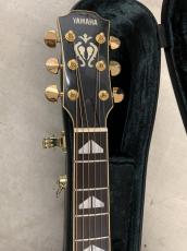 YAMAHA CJ-22 メイプル サイド/バック カントリージャンボ ボディー!_5