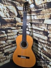 Juan Hernandez [ホアン・エルナンデス] Profesor Flamenca Negra w/P.U. フラメンコ 黒 松・ローズウッド【日本総本店2F 在庫品】_2