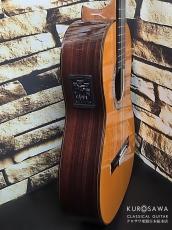 Juan Hernandez [ホアン・エルナンデス] Profesor Flamenca Negra w/P.U. フラメンコ 黒 松・ローズウッド【日本総本店2F 在庫品】_10