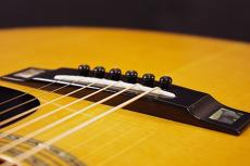 Martin LL53D R Custom_6