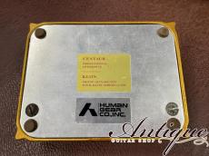 KLON (正規輸入品) Centaur Professional Over Drive 1999年製 Gold Picture Full-Original & EX++ “Short Tail”_2